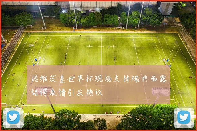 诺维茨基世界杯现场支持瑞典面露错愕表情引发热议